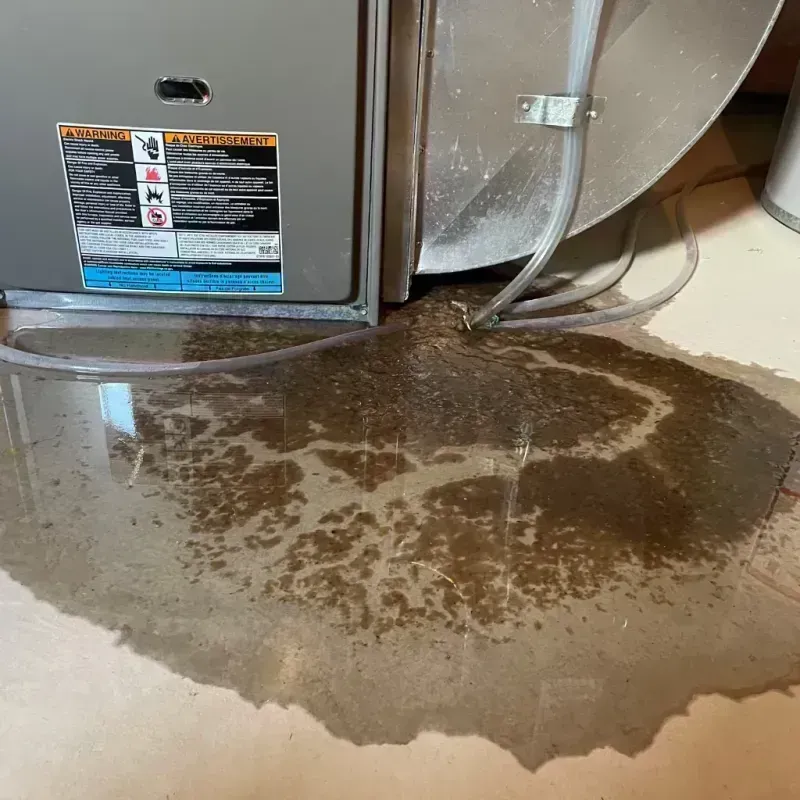 Appliance Leak Cleanup in Laveen, AZ